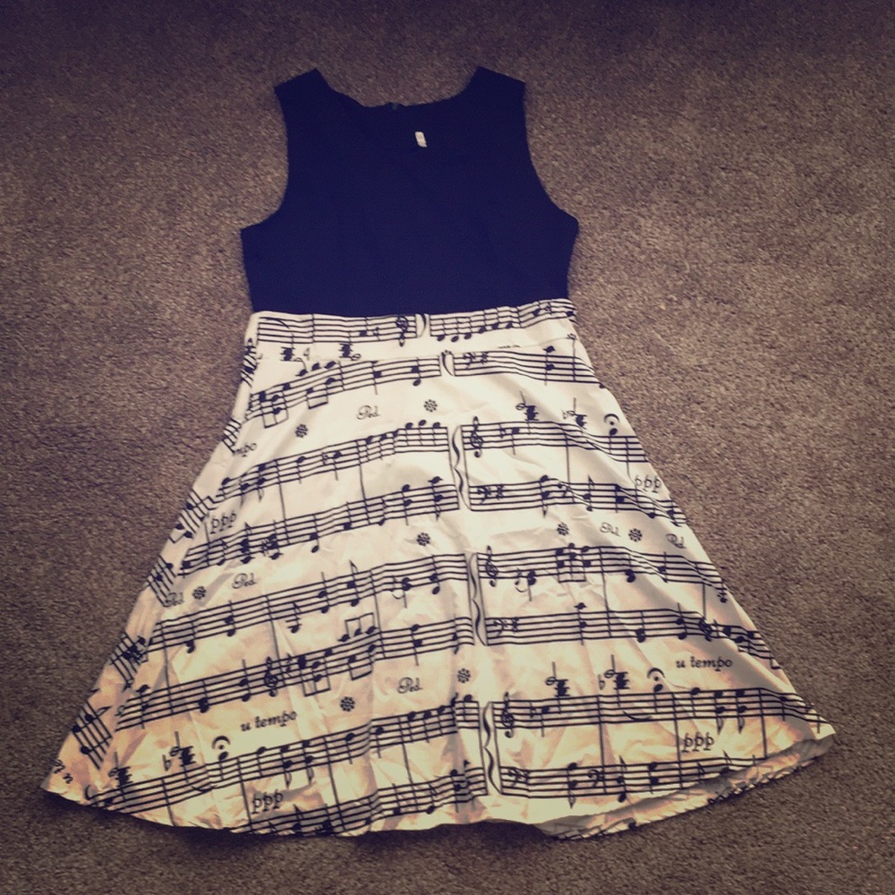 Once worn musical dress (zipper on back)